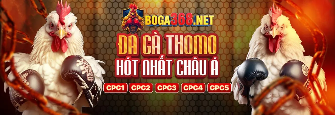 Biểu đồ cấu trúc hoa hồng minh bạch và các cấp độ lợi nhuận